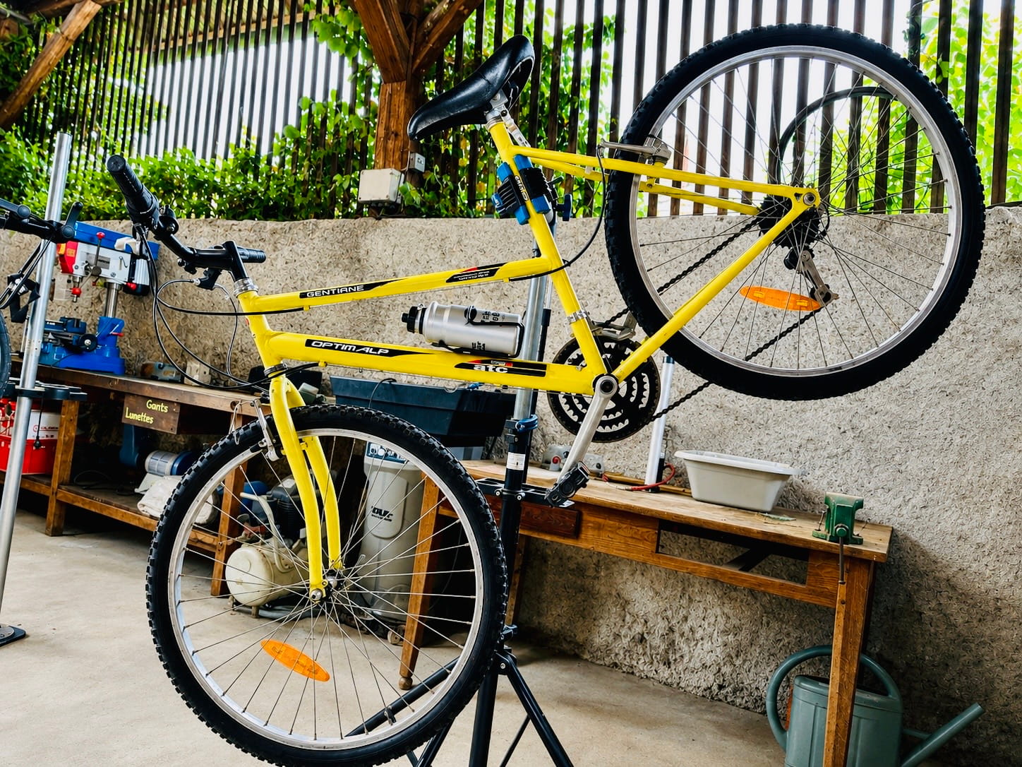 VTT Optim Alp Gentiane